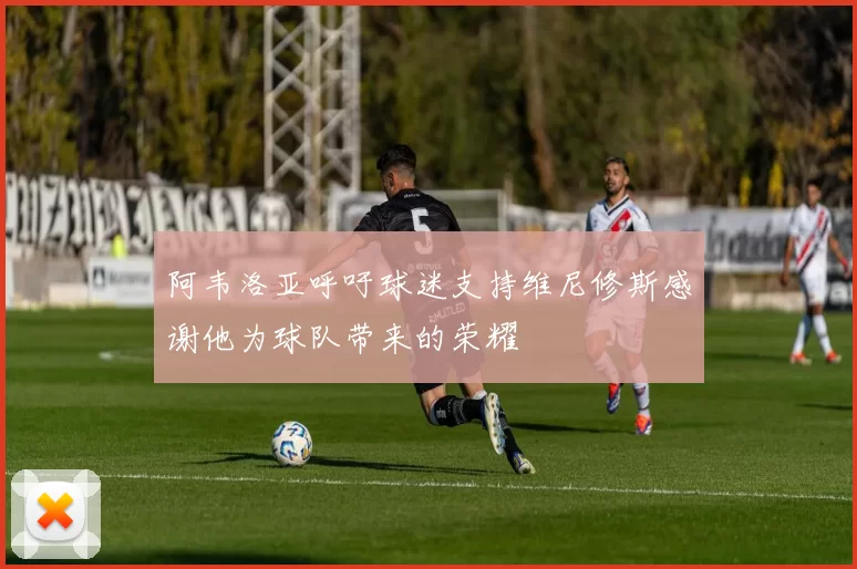 阿韦洛亚呼吁球迷支持维尼修斯感谢他为球队带来的荣耀