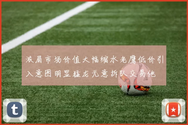 浓眉市场价值大幅缩水老鹰低价引入意图明显猛龙无意拆队交易他